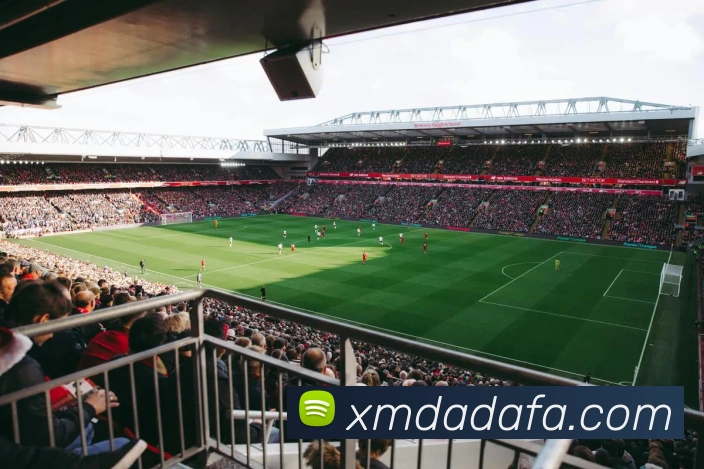 大发彩票品牌故事